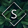Icon with a white S in front of green leafs